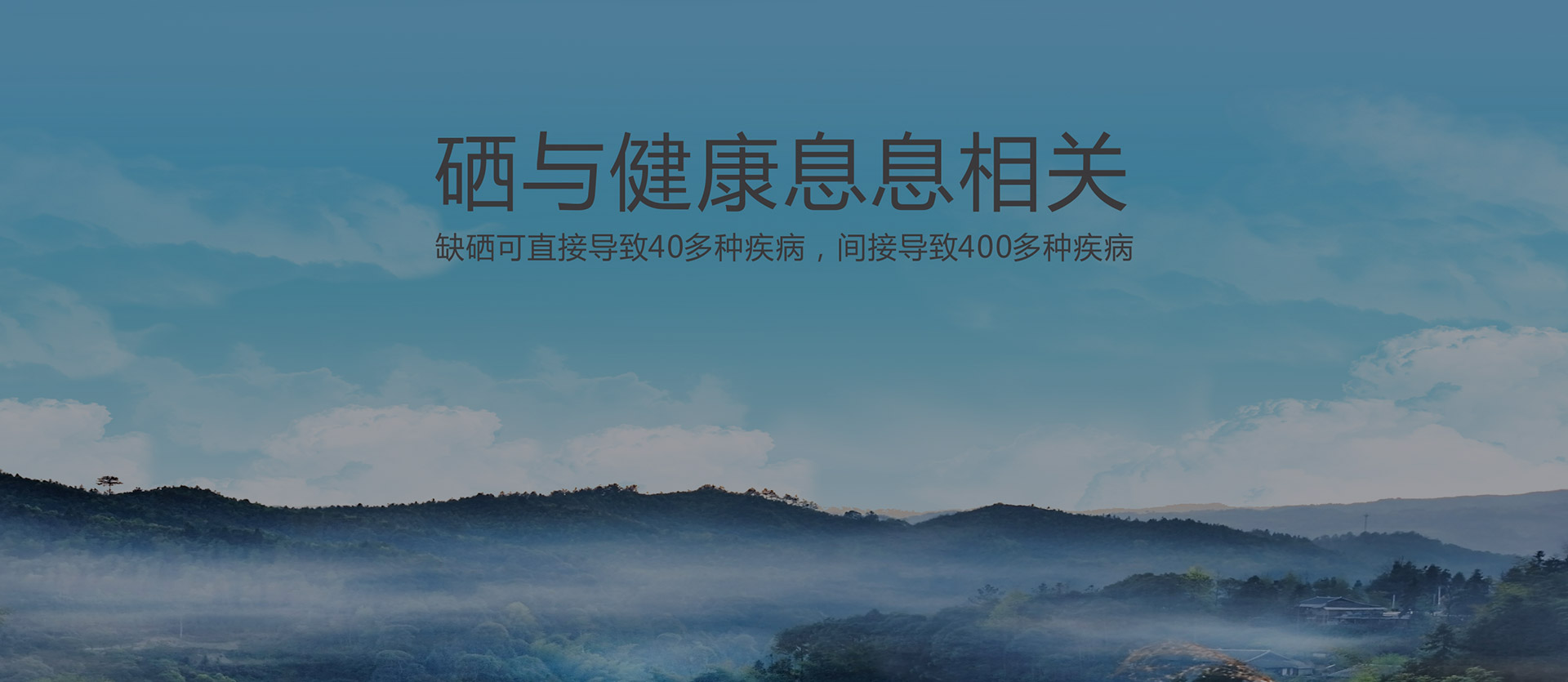 新创